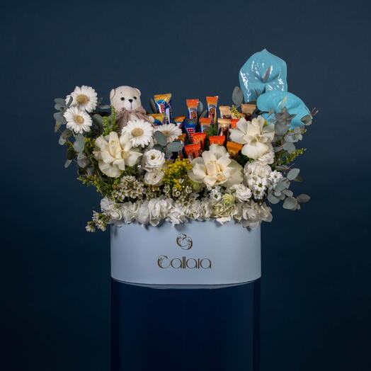Beary Sweet Bloom