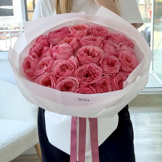 Pink Xpression Roses