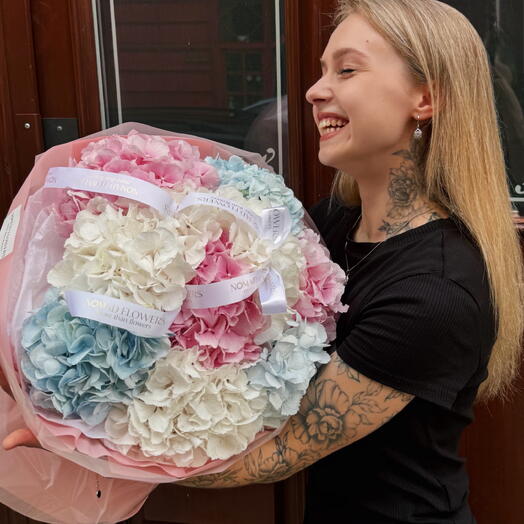 🩵 9 Beautiful Hydrangeas