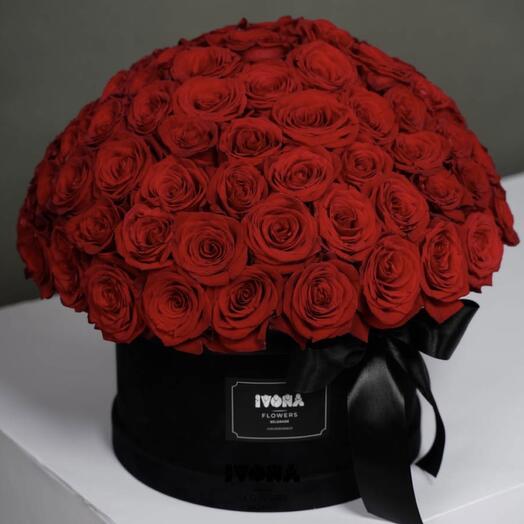 101 roses