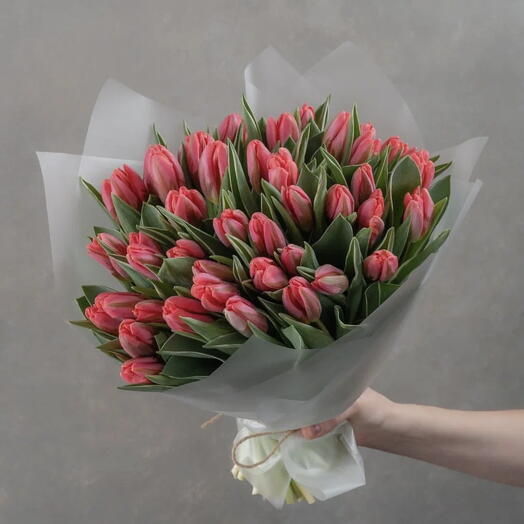 Pink Tulips