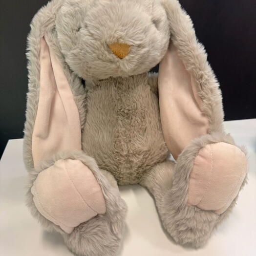 Bunny
