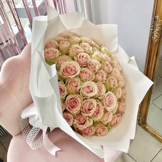 101 rosa Rose
