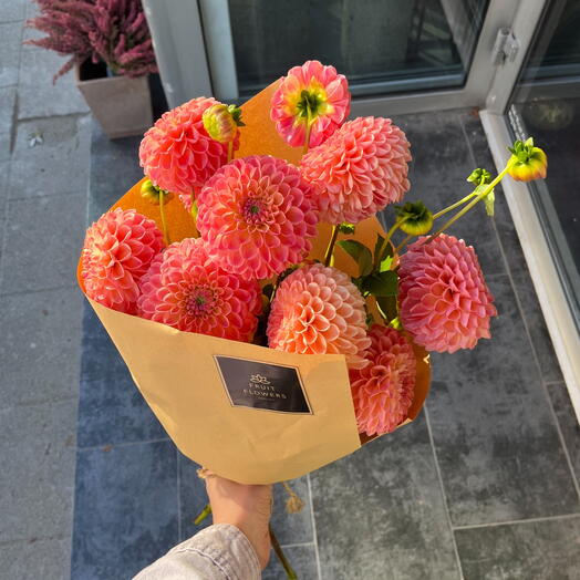 Dahlias N2