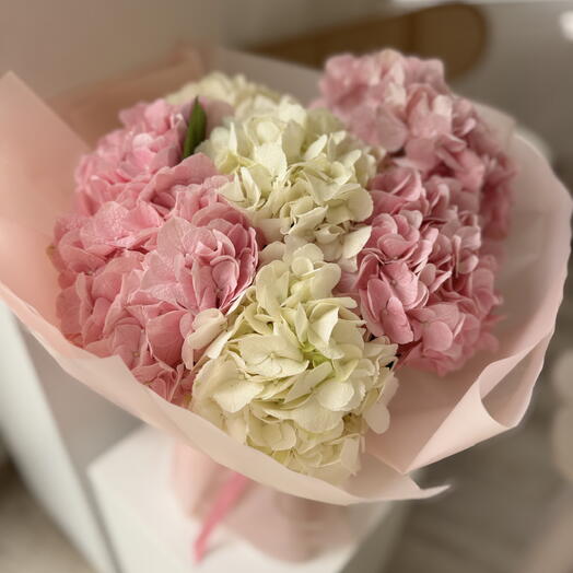 7 mix hydrangeas