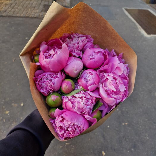 50 Peonies Wow