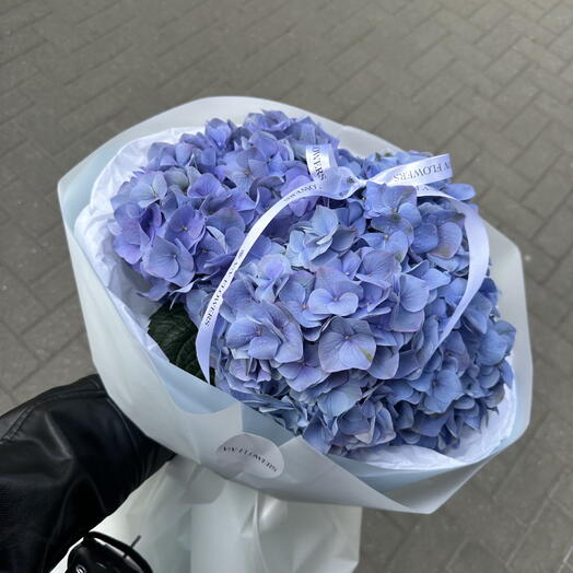 Моно букет Blue Hydrangea