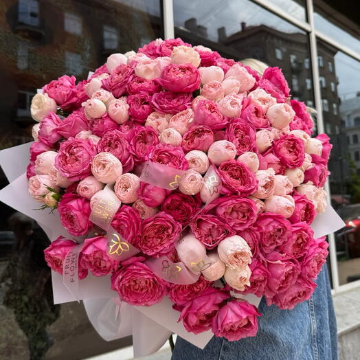 Rose Daydream