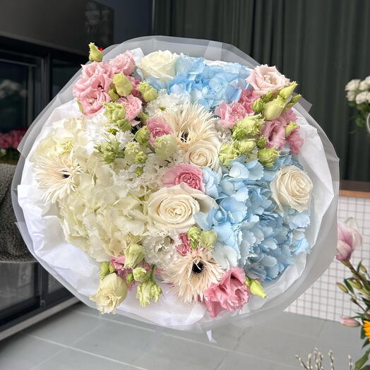Pastel Harmony