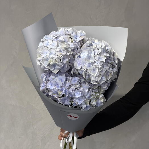 Hydrangea blue 3