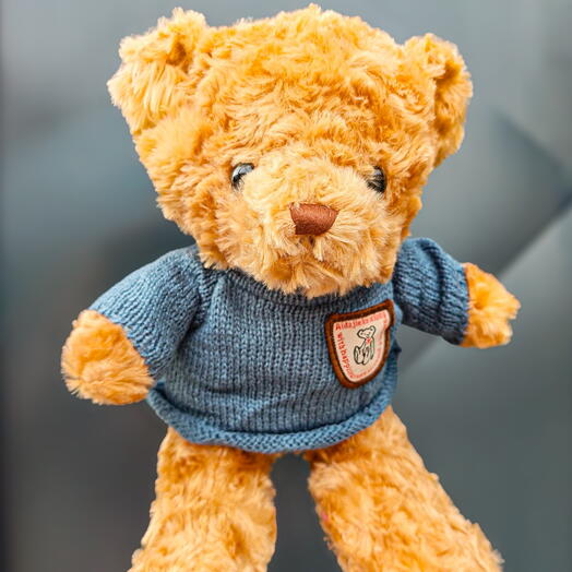 Taddy bear in clothes 🤎