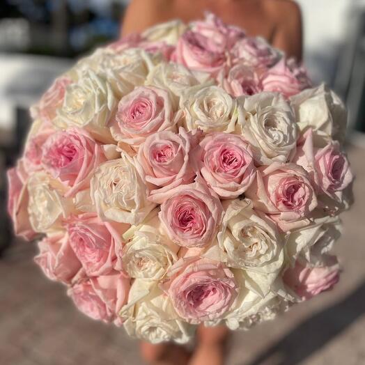 50 white and pink