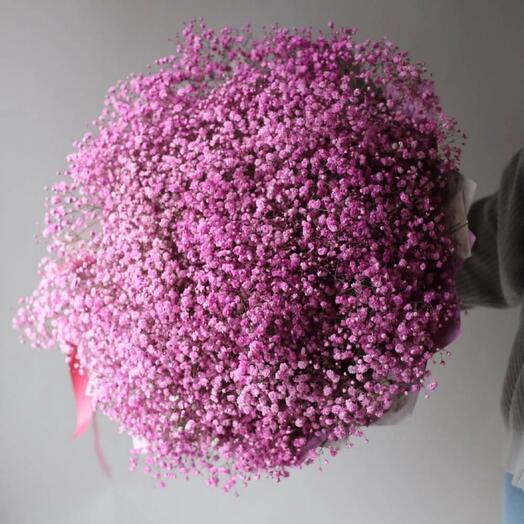 Pink Cloud