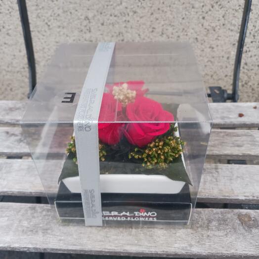 3 mini stabilized red roses