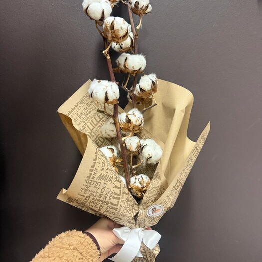 Cotton twigs