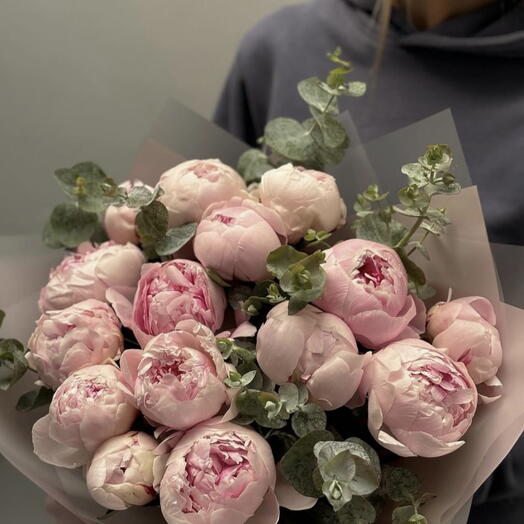 Peony Queen flowers