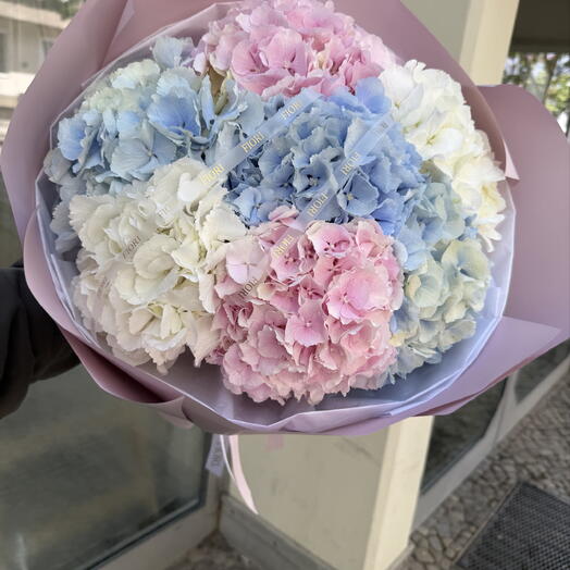 Hydrangea cloud