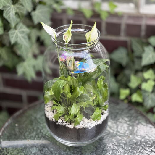 Large forest in a jar