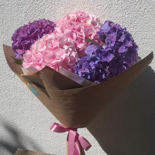 Bouquet of pink and lilac Hydrangeas
