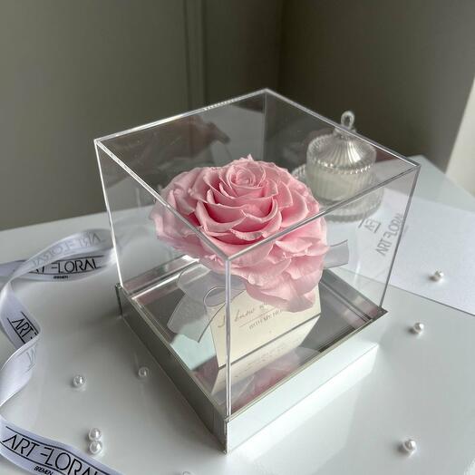 Pink Infinity Heart Rose in an Acrylic Cube