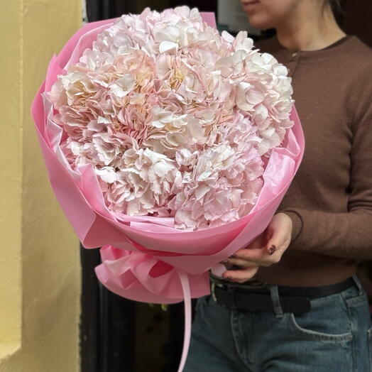 Hydrangeas