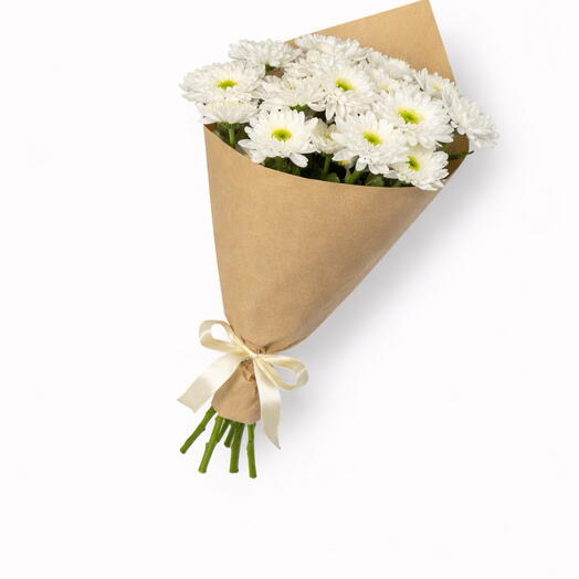 Chrisantema 5 white