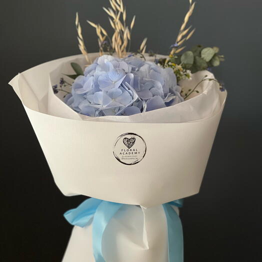 Hydrangea in the design