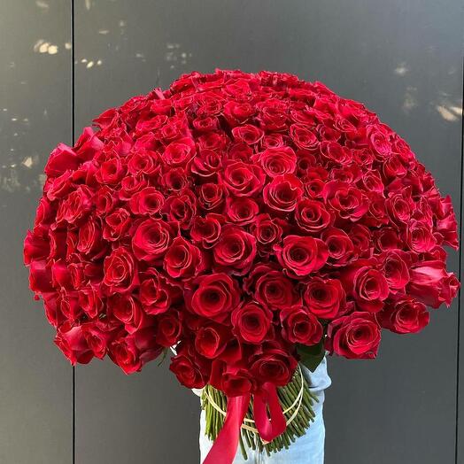 101 Roses