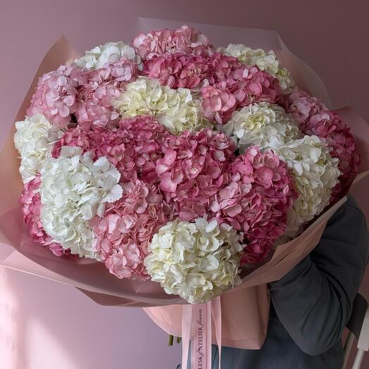 25 Hydrangeas (Bouquet No. 22)