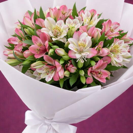 Alstromeria weis - pink