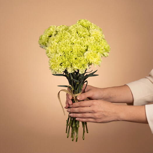 Bouquet Lime Carnations - 25 pcs