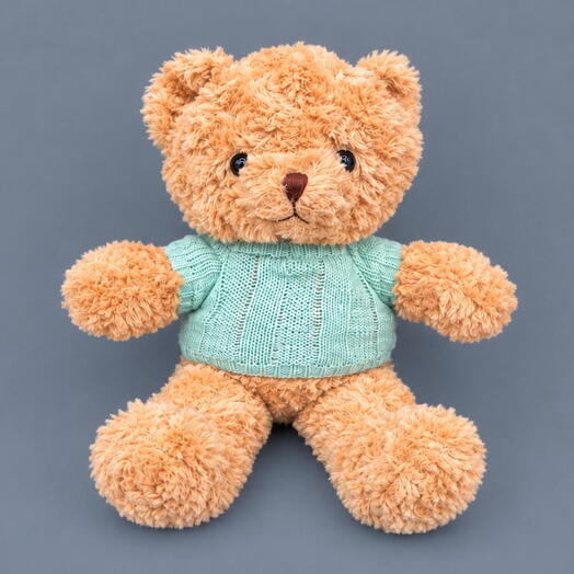 Teddy Bear in a green Sweater soft toy