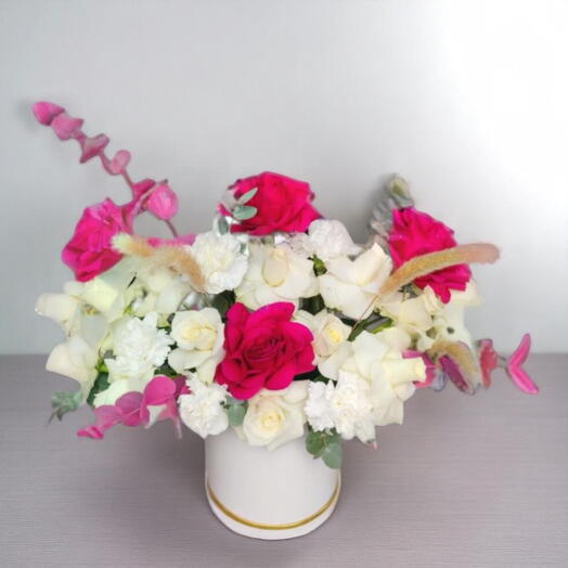 Dima box arrangement