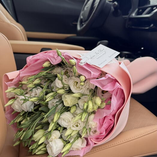 Eustoma