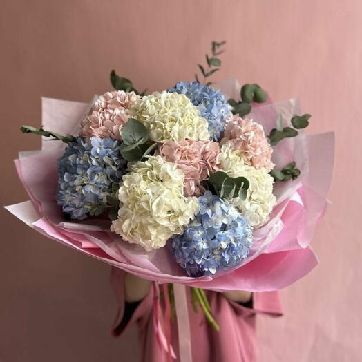 Hydrangea Mix