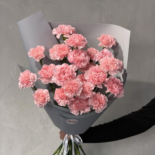 Pink dianthus 25