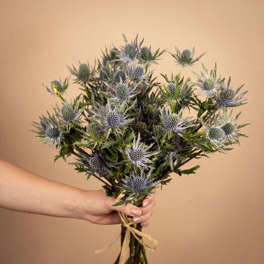Mikołajek Bouquet
