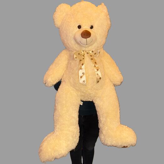 Teddy bear