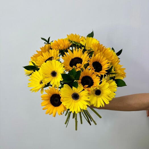 Sun