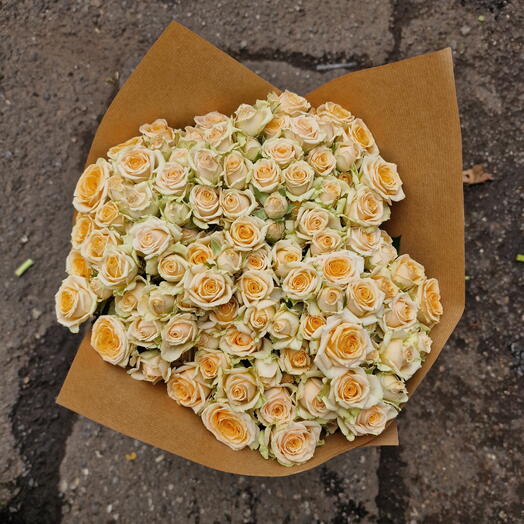 Cream bush roses