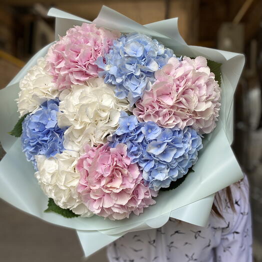 buchet 9 hortensii mix
