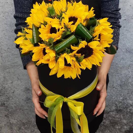 Sunflowers in a Box