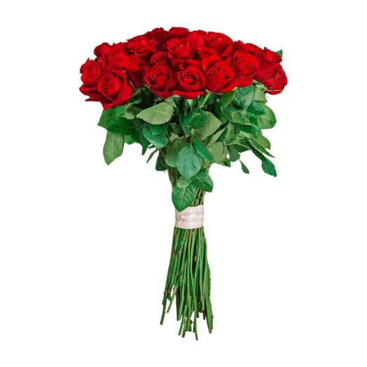 51 red roses