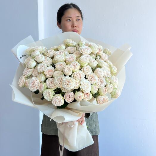 Garden roses