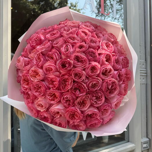 75 Pink Expression Garden Roses