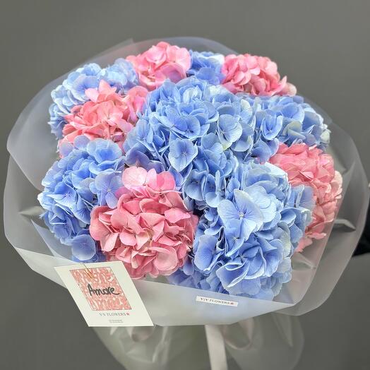 Hydrangea mix