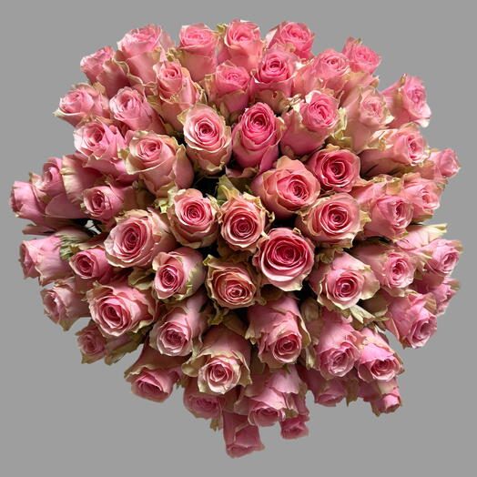 51 Tango Roses