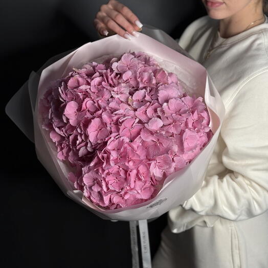 Pink hydrangea