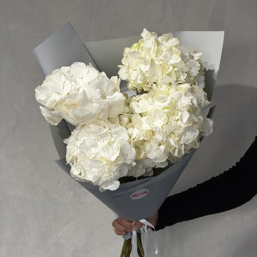 White hydrangea 5