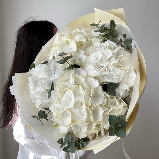 White hortenzie